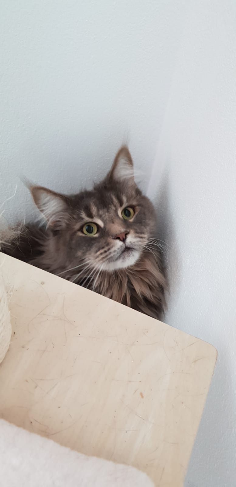 1d9a011a-a610-48e2-8412-53fe1f5f8990